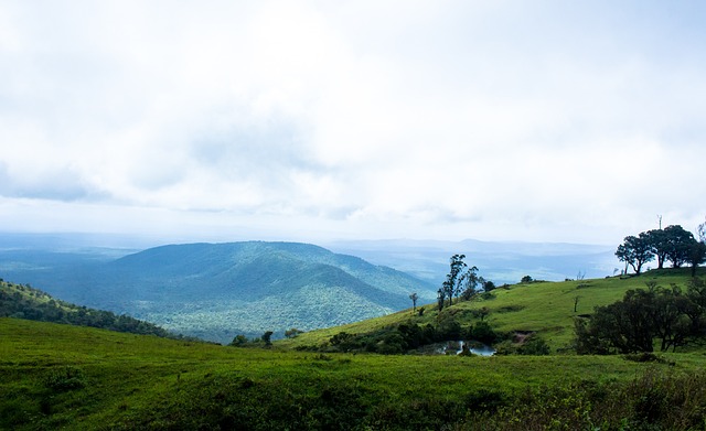 本文将深度 本文将深度