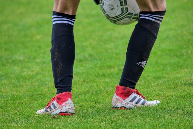 的强大助力 的强大助力