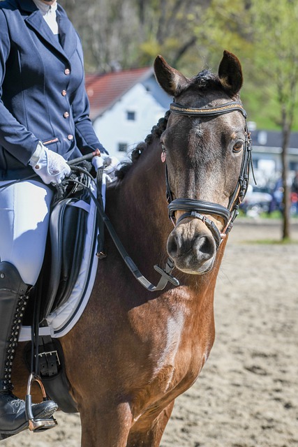 法轉化為像 法轉化為像