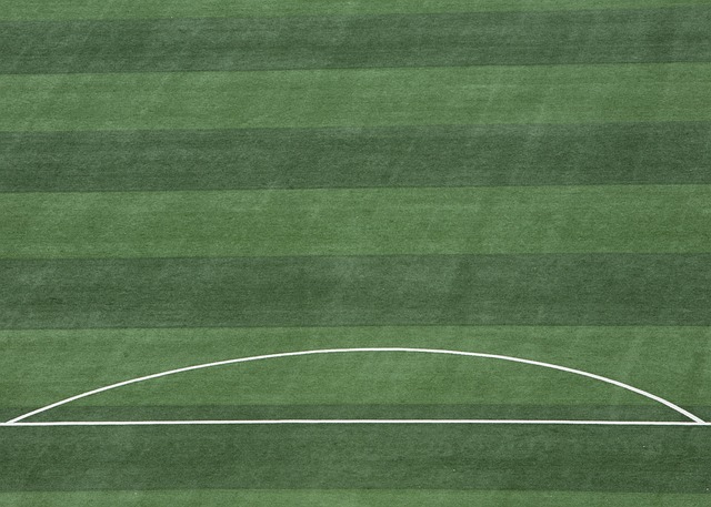 比赛和表演 比赛和表演