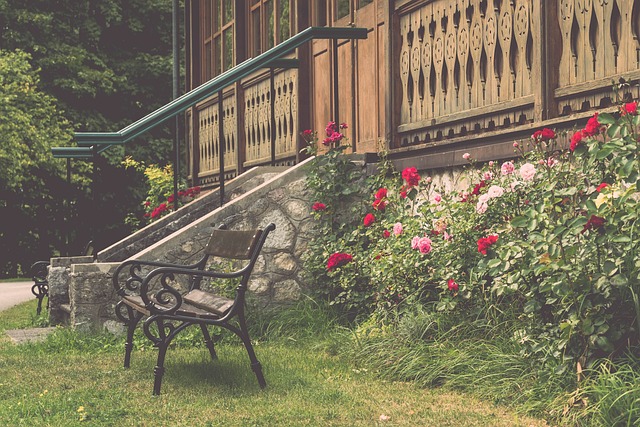 上赛季的篮 上赛季的篮