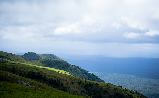 教练的信任 教练的信任